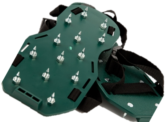 Zapatos de picos - vista 2
